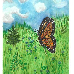 Greeting Cards with Envelopes